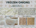 Frozen Fried Onions Dices,Frozen Fried Onions Strips,Frozen Roasted Onions 15