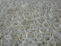 Frozen Fried Onions Dices,Frozen Fried Onions Strips,Frozen Roasted Onions 20