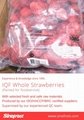 Frozen Strawberry Puree,Frozen Strawberries Puree,with seeds/without seeds 19