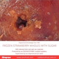 IQF Whole Strawberry,Frozen Strawberry Wholes,IQF strawberries,Darselect variety