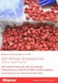 IQF Whole Strawberry,Frozen Strawberry Wholes,IQF strawberries,Darselect variety 15