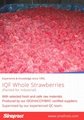 IQF Whole Strawberry,Frozen Strawberry Wholes,IQF strawberries,Darselect variety 16