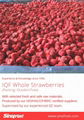IQF Whole Strawberry,Frozen Strawberry Wholes,IQF strawberries,Darselect variety 18