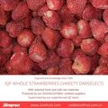 IQF Whole Strawberry,Frozen Strawberry Wholes,IQF strawberries,Darselect variety 2
