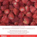 IQF Whole Strawberry,Frozen Strawberry Wholes,IQF strawberries,Darselect variety 7