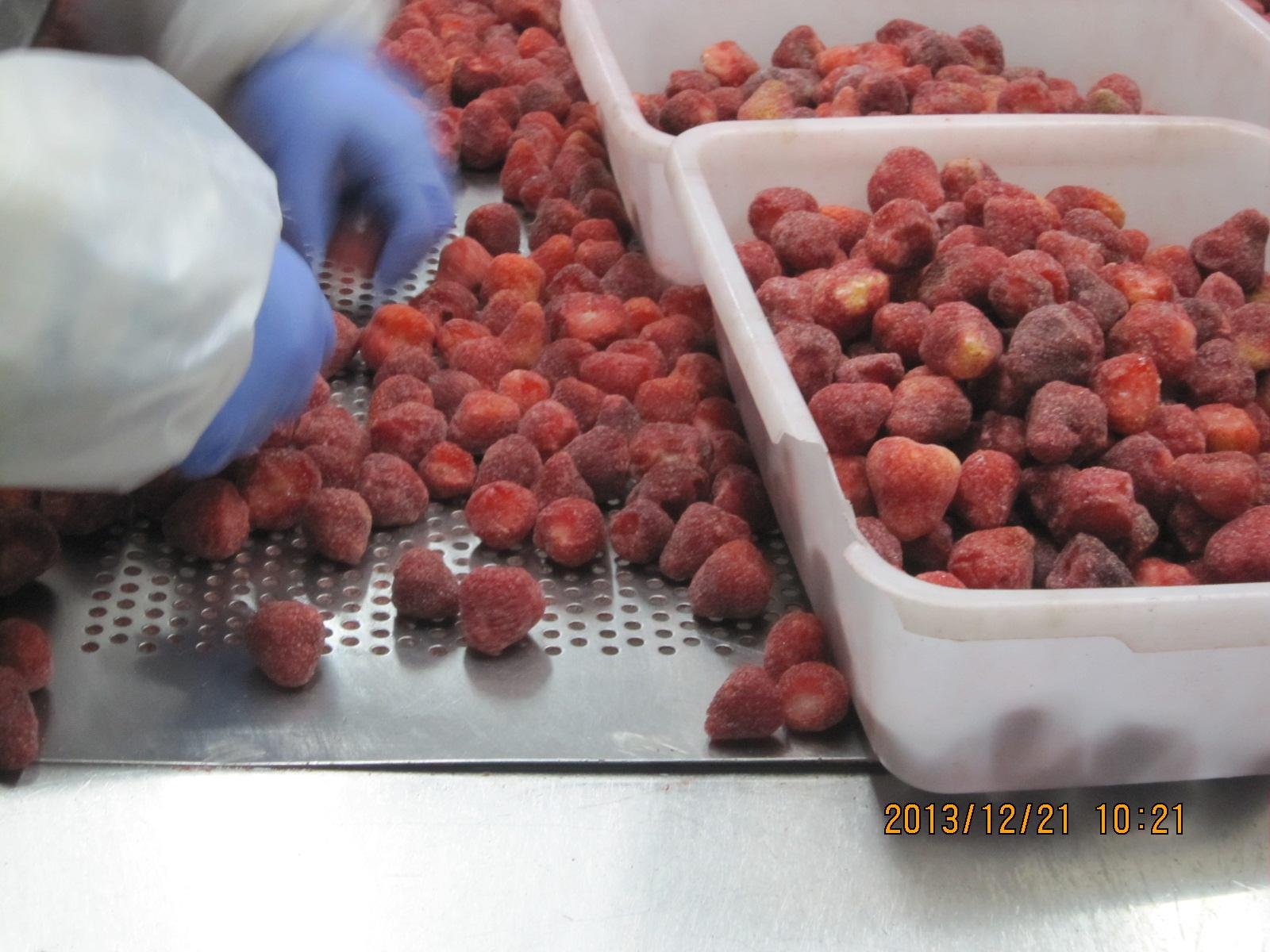 IQF Strawberries,Frozen Whole Strawberries,IQF Strawberry,American no.13 variety 7