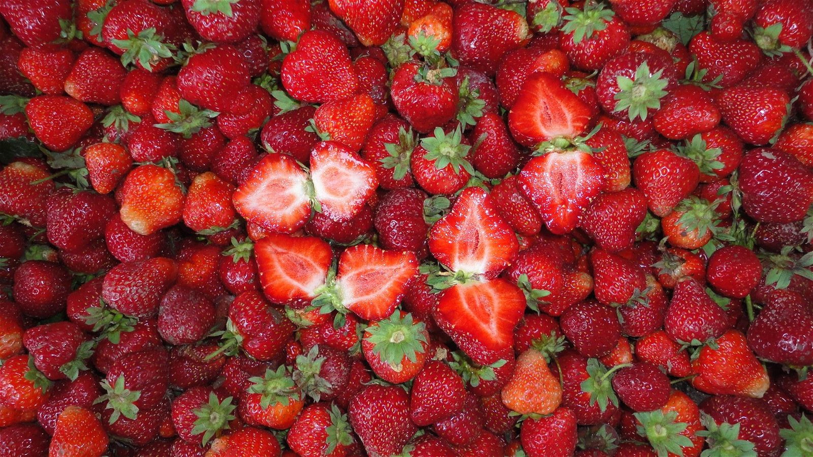 冷凍草莓,速凍草莓,冷凍草莓泥,速凍草莓泥 6