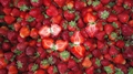 IQF Strawberries,Frozen Whole Strawberries,IQF Strawberry,American no.13 variety