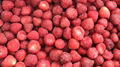 Frozen Strawberries,Frozen Strawberry,IQF Strawberries,Honey Variety