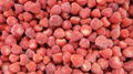 IQF Strawberry,Frozen Strawberries,IQF Whole Strawberry,Sweet Charlie variety 1