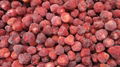 Frozen Strawberry Puree,Frozen Strawberries Puree,with seeds/without seeds 12