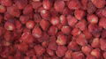 IQF Whole Strawberries,Frozen Whole Strawberries,uncalibrated