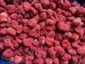 Frozen Strawberry Brokens,IQF Strawberry Brokens,jam quality,all red color 2