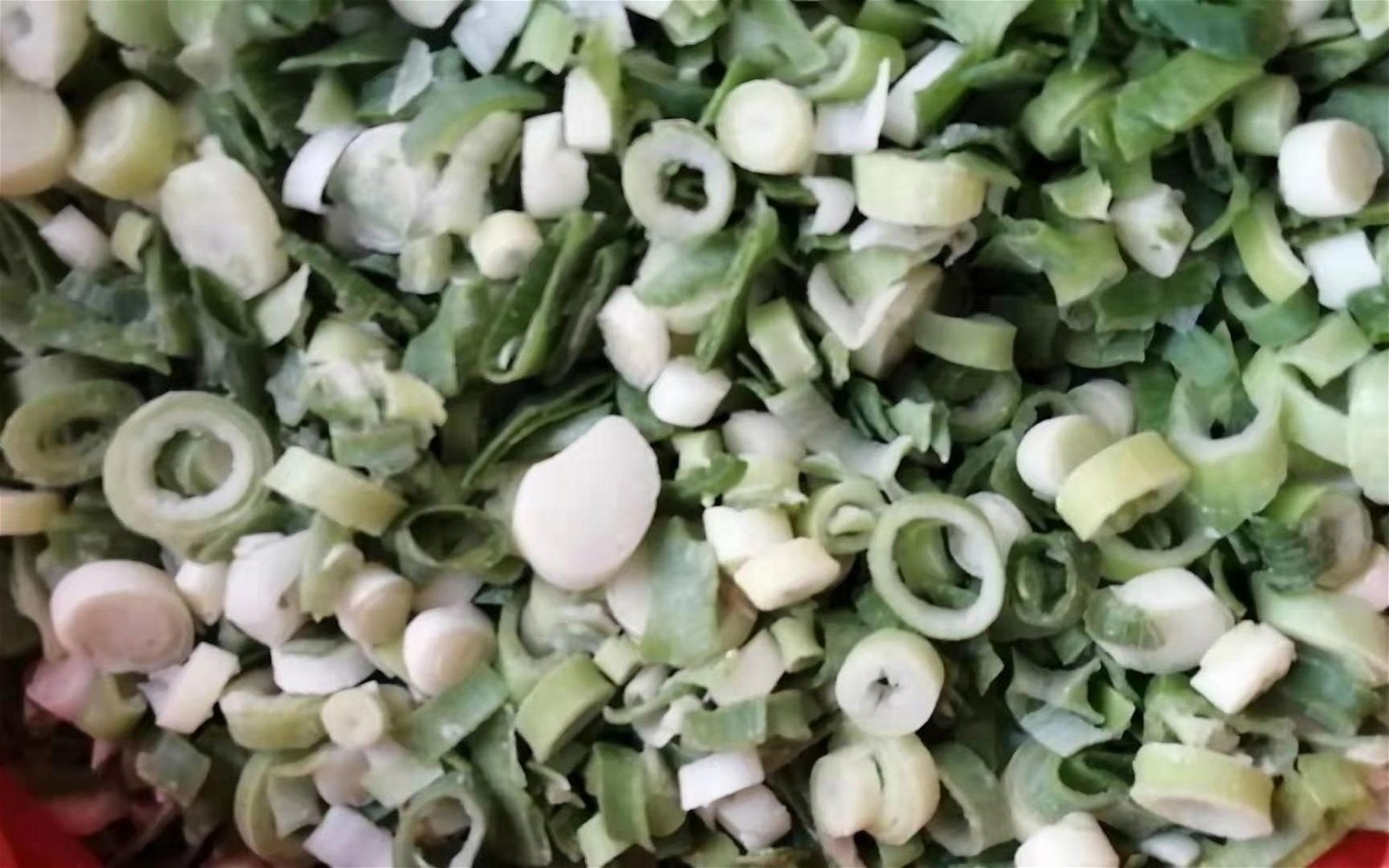 IQF Welsh Onion Slices,Frozen Welsh Onion Dices,IQF Welsh Onion Cuts 5