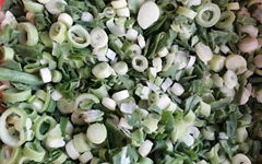 IQF Welsh Onion Slices,Frozen Welsh Onion Dices,IQF Welsh Onion Cuts