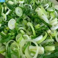 IQF Welsh Onion Slices,Frozen Welsh Onion Dices,IQF Welsh Onion Cuts