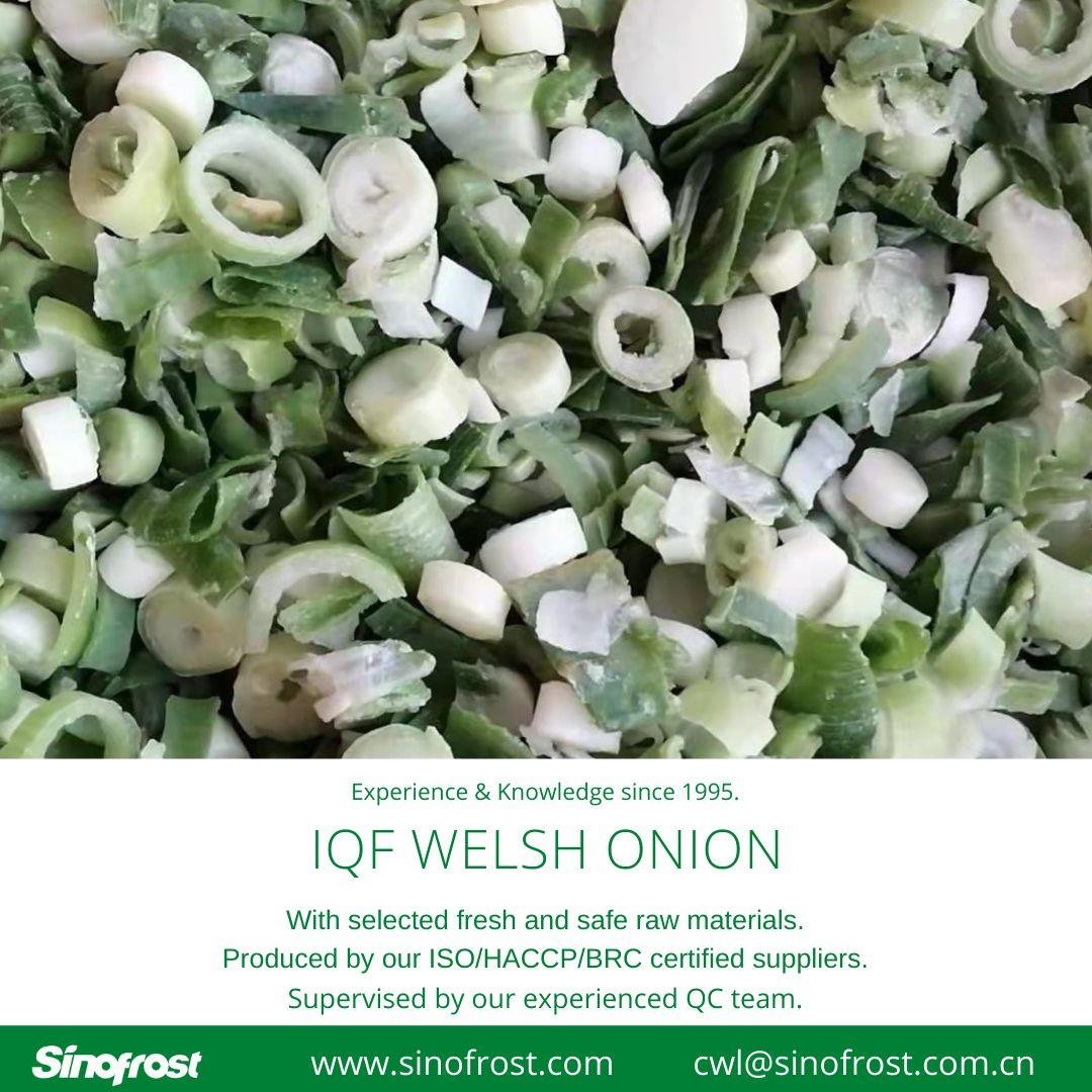 IQF Welsh Onion Slices,Frozen Welsh Onion Dices,IQF Welsh Onion Cuts 4