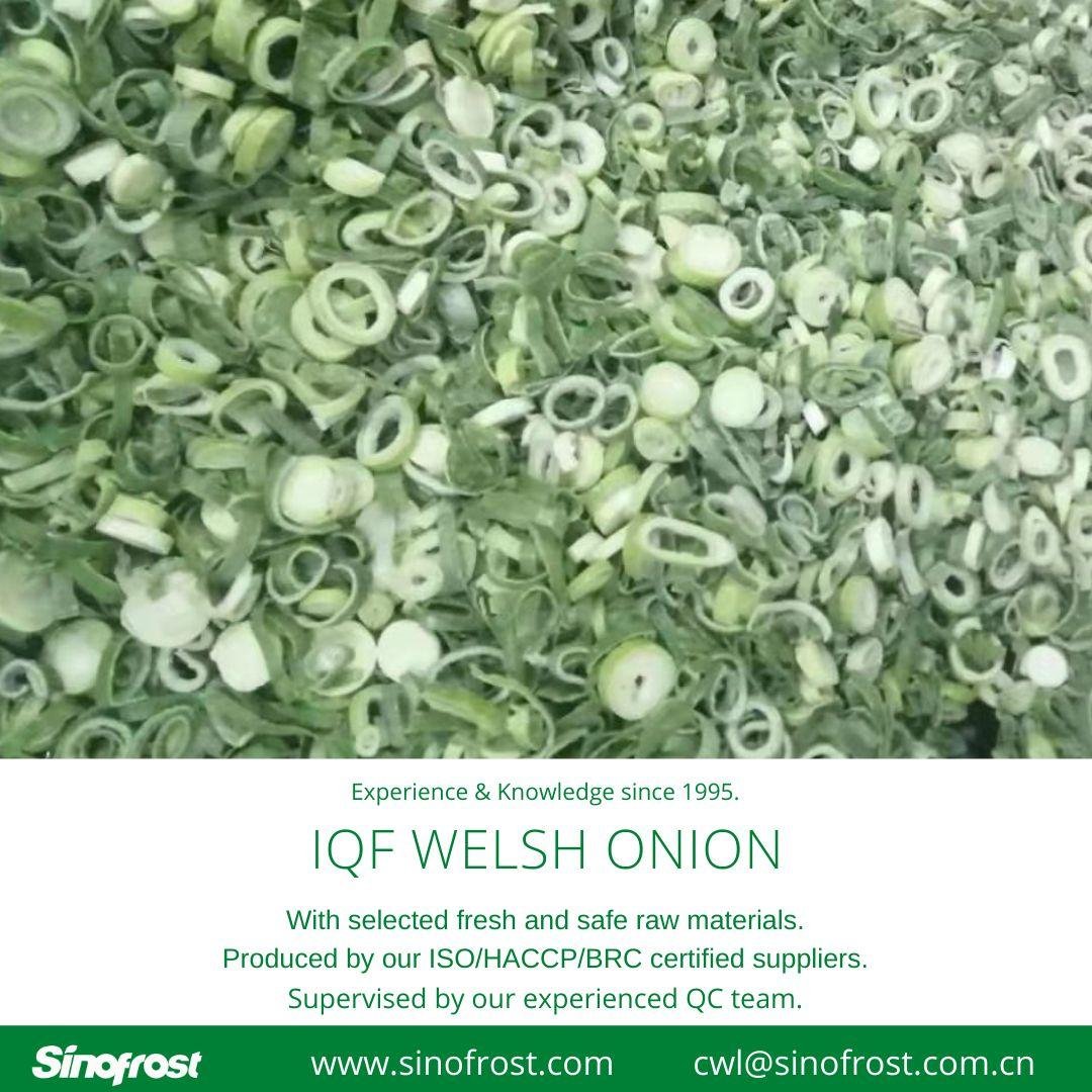 IQF Welsh Onion Slices,Frozen Welsh Onion Dices,IQF Welsh Onion Cuts 2