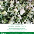 IQF Welsh Onion Slices,Frozen Welsh Onion Dices,IQF Welsh Onion Cuts