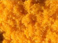 Mandarin Orange Sacs in Syrup,Variety: Ponkan