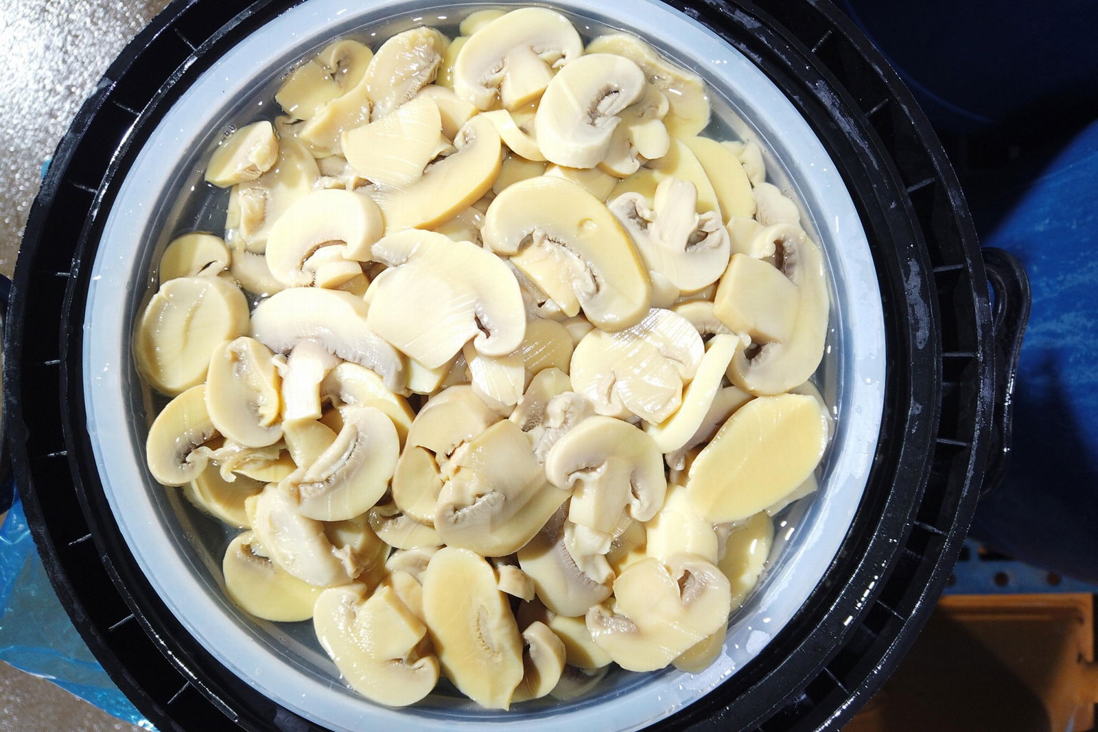 Preserved Mushrooms in Vinegar,Champignon Mushrooms in Vinegar,slices/wholes 4