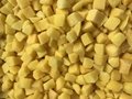 IQF Yellow Peach Dices,Frozen Yellow Peaches Dices,IQF Yellow Peach Cubes