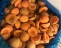 IQF Apricot Halves,Frozen Apricot Halves,unpeeled,unblanched
