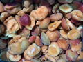 IQF Apricots Halves,Frozen Apricot Halves,IQF Sliced Apricots,peeled,blanched