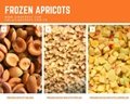 IQF Apricot Dices,IQF Diced Apricots,Frozen Apricots Cubes,peeled,blanched