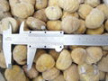 IQF Chestnut,Frozen Chestnut,wholes/dices,blanched/steamed/roasted 8