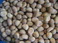 IQF Chestnut,Frozen Chestnut,wholes/dices,blanched/steamed/roasted