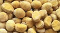 IQF Chestnut,Frozen Chestnut,wholes/dices,blanched/steamed/roasted