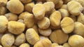 IQF Chestnut,Frozen Chestnut,wholes/dices,blanched/steamed/roasted 5