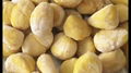 IQF Chestnut,Frozen Chestnut,wholes/dices,blanched/steamed/roasted 11