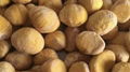 IQF Chestnut,Frozen Chestnut,wholes/dices,blanched/steamed/roasted 6