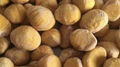 IQF Chestnut,Frozen Chestnut,wholes/dices,blanched/steamed/roasted