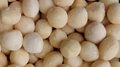 IQF Potato Wholes,Frozen Potato Balls