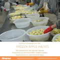 IQF Apple Dices,IQF Apple Cubes,Frozen Apples Dices, Frozen Apples Cubes,peeled 12