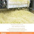 IQF Apple Dices,IQF Apple Cubes,Frozen Apples Dices, Frozen Apples Cubes,peeled 15