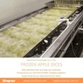 IQF Apple Dices,IQF Apple Cubes,Frozen Apples Dices, Frozen Apples Cubes,peeled 17