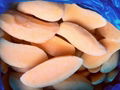 IQF frozen Mango Dices,IQF frozen Mango Chunks,IQF Frozen Mango Halves/Flesh  12