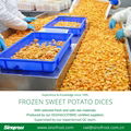 IQF Sweet Potato Sticks,Frozen Sweet Potato Sticks,steamed/blanched 17