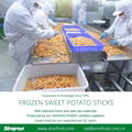 IQF Sweet Potato Sticks,Frozen Sweet Potato Sticks,steamed/blanched 18