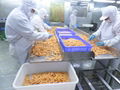 IQF Sweet Potato Sticks,Frozen Sweet Potato Sticks,steamed/blanched