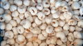 IQF Peeled Lychees,Frozen Peeled Lychees,IQF Peeled Litchi,IQF Pitted Lychees