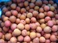 IQF Peeled Lychees,Frozen Peeled Lychees,IQF Peeled Litchi,IQF Pitted Lychees