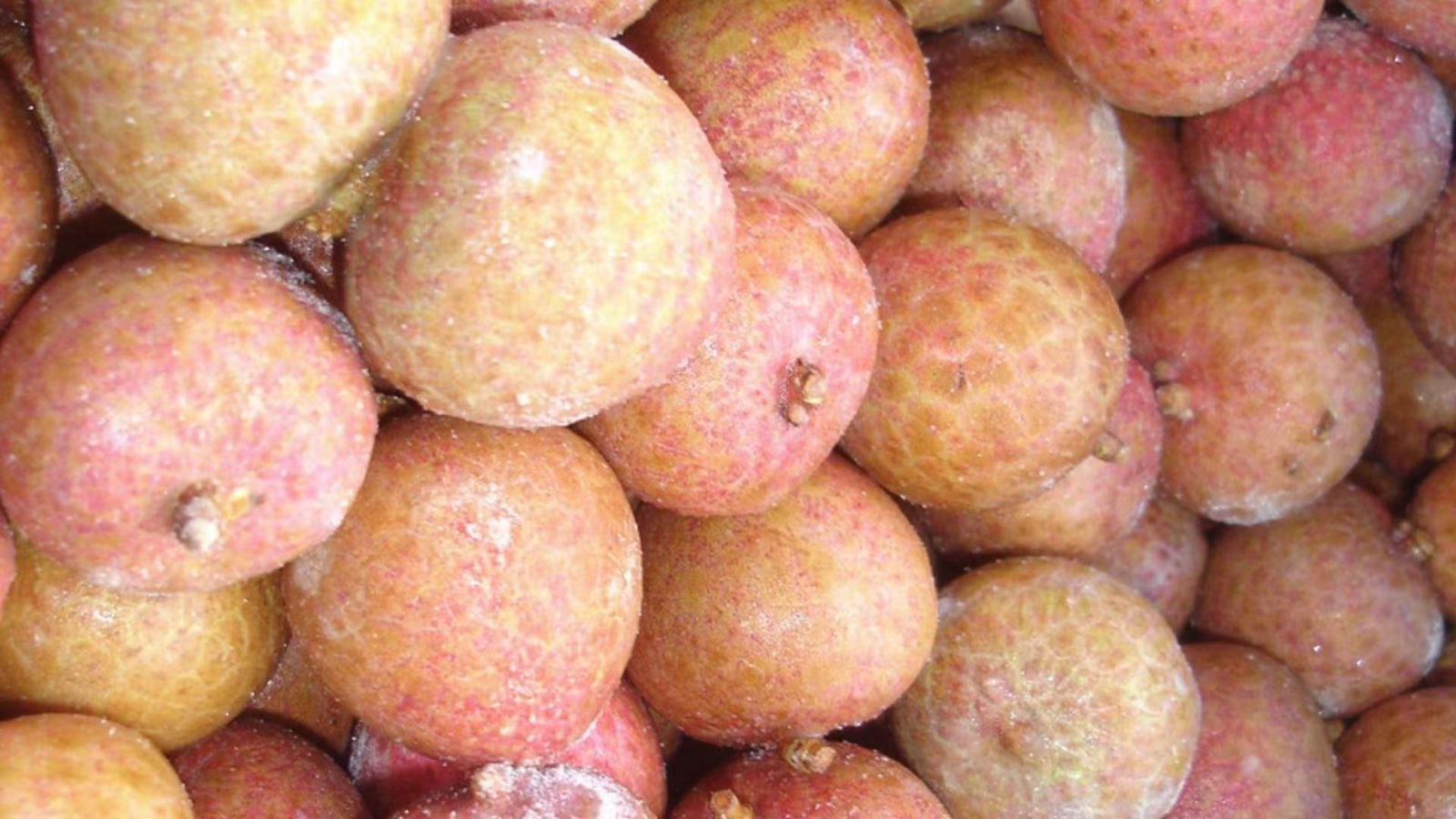 IQF Lychees ,Frozen Litchi,IQF Litchis,Frozen Lychees 2