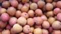 IQF Lychees ,Frozen Litchi,IQF Litchis