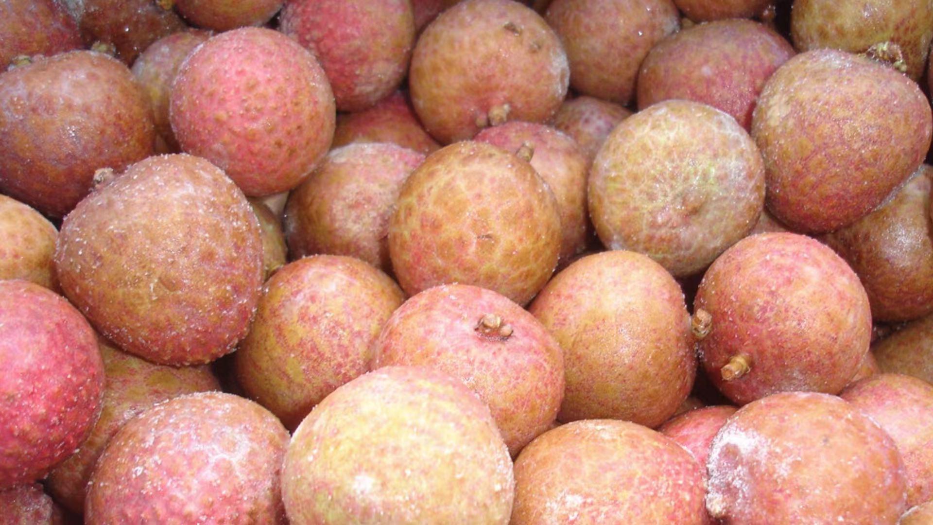冷凍荔枝,速凍荔枝 5