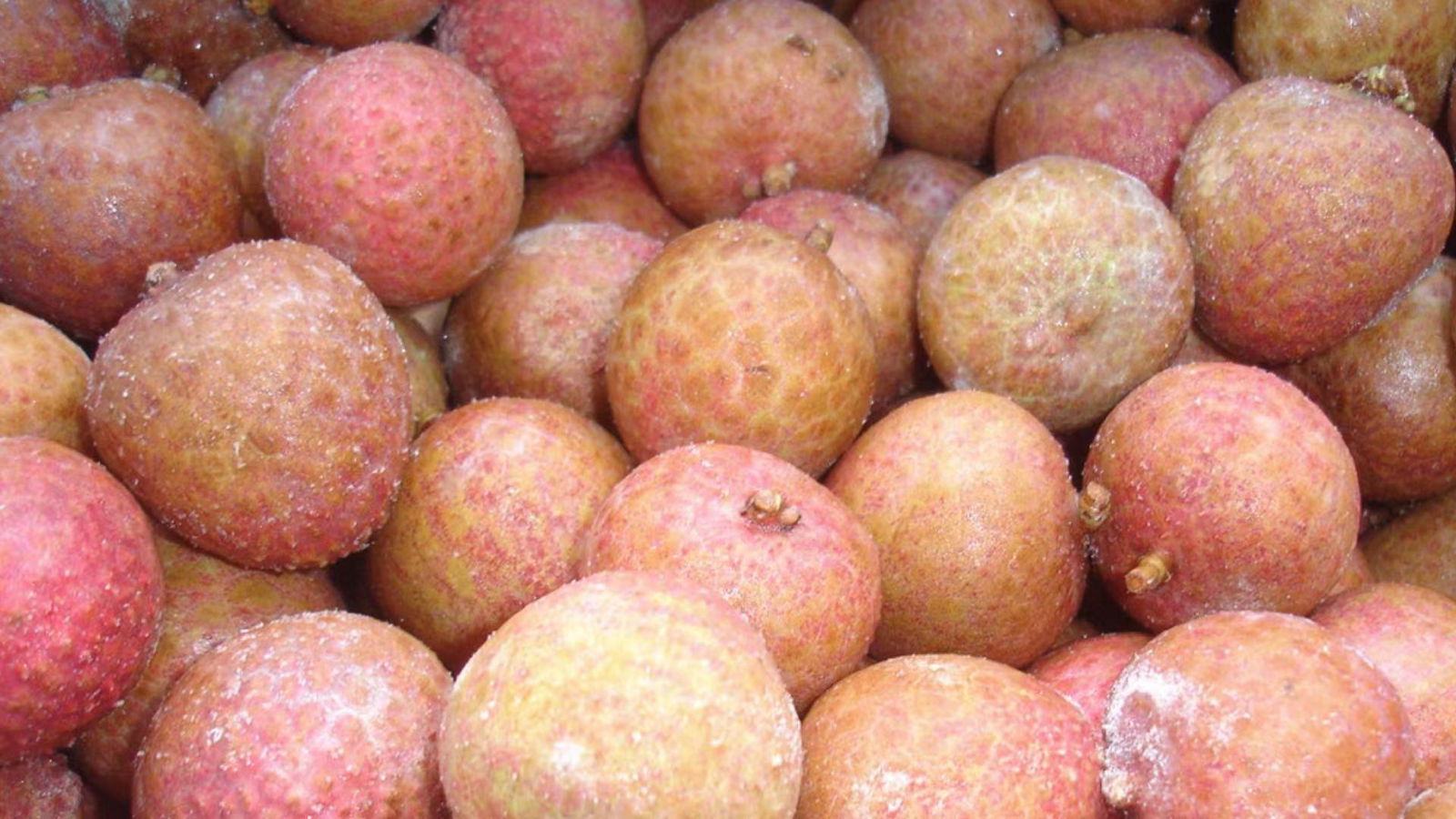 IQF Lychees ,Frozen Litchi,IQF Litchis,Frozen Lychees 5